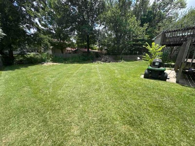Lawn care service in Olathe, 66061