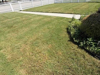 Lawn care service in Norfolk, 23518