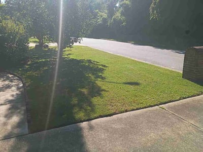 Lawn care service in Columbus, 31907