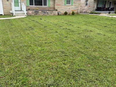 Lawn care service in Indianapolis, 46219