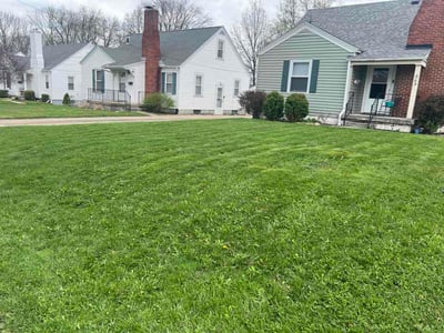 Lawn care service in Mansfield, 44903