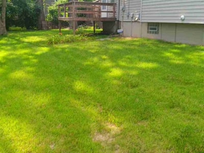 Lawn care service in Kansas City, 64114