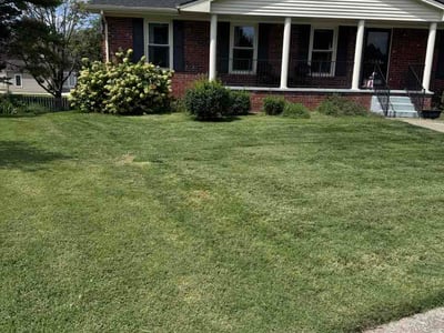 Lawn care service in Lexington, 40515