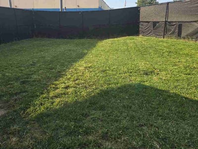 Lawn care service in Baltimore, 21224