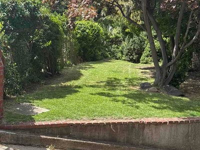Lawn care service in Queens, 11373