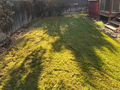 Lawn care service in Lafayette, 80026