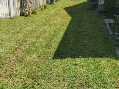 Lawn care service in Orlando, 32837