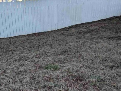 Lawn care service in Knoxville, 37921
