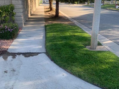 Lawn care service in Rancho Cucamonga, 91739