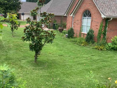 Lawn care service in Collierville, 38017