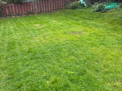 Lawn care service in Pittsburgh, 15217
