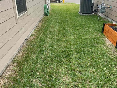 Lawn care service in Corpus Christi, 78414