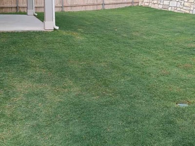 Lawn care service in Manor, 78653