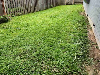 Lawn care service in Tualatin, 97062