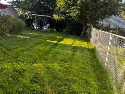 Lawn care service in New Britain, 06053