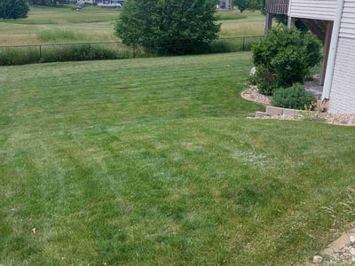 Lawn care service in Marion, 52302