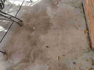 Lawn care service in Arvada, 80003