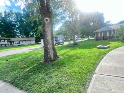 Lawn care service in Lee's Summit, 64063