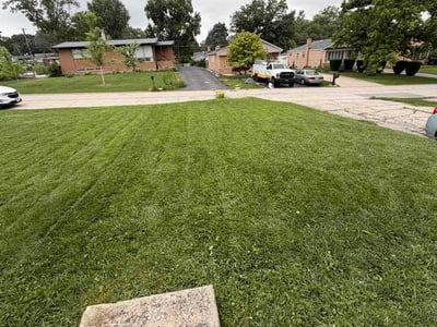 Lawn care service in Willow Springs, 60480