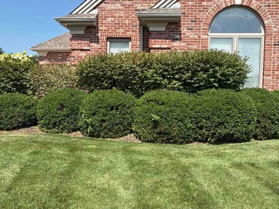 Lawn care service in Omaha, 68136