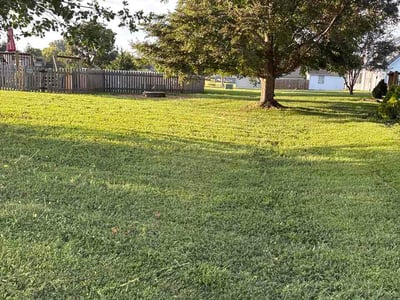 Lawn care service in Greenwood, 64034