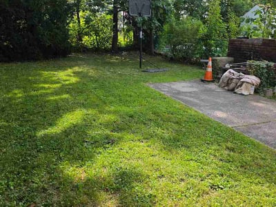 Lawn care service in Newark, 07106
