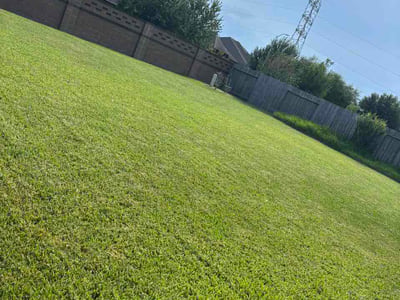 Lawn care service in Pearland, 77584