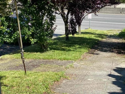 Lawn care service in Seattle, 98103
