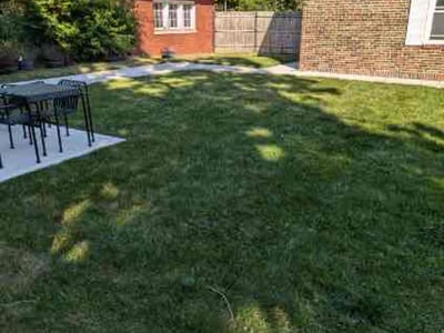 Lawn care service in Chicago, 60649