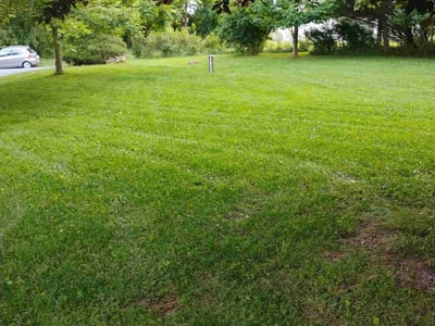 Lawn care service in Sykesville, 21784