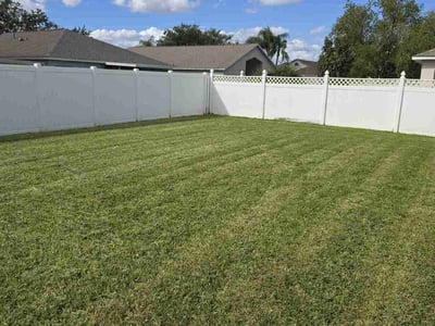 Lawn care service in Land O' Lakes, 34639