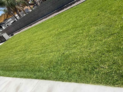 Lawn care service in Bloomington, 92316