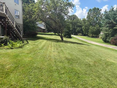 Lawn care service in Greensburg, 15601