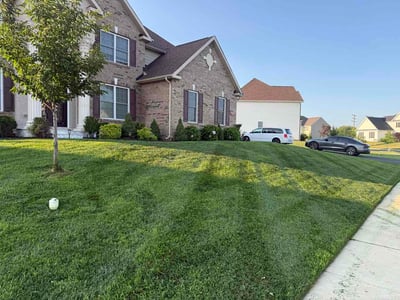 Lawn care service in Easton, 18045