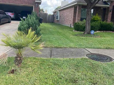 Lawn care service in Katy, 77449