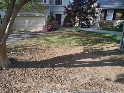 Lawn care service in Atlanta, 30319