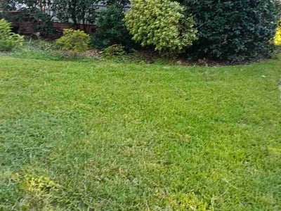 Lawn care service in Hampton, 23669