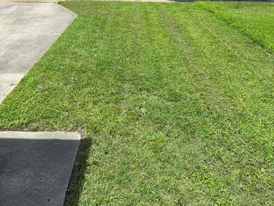Lawn care service in Virginia Beach, 23454