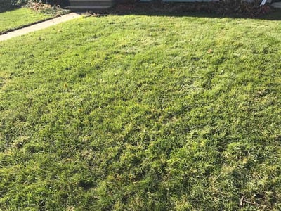 Lawn care service in Kalamazoo, 49001