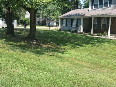 Lawn care service in Occoquan Historic District, 22125
