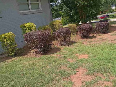 Lawn care service in Decatur, 30032