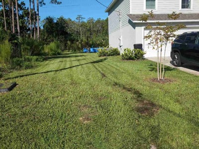 Lawn care service in Palm Coast, 32137