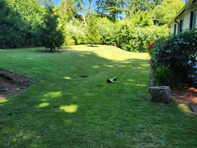 Lawn care service in Portland, 97225