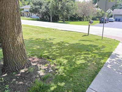 Lawn care service in Geneva, 60134