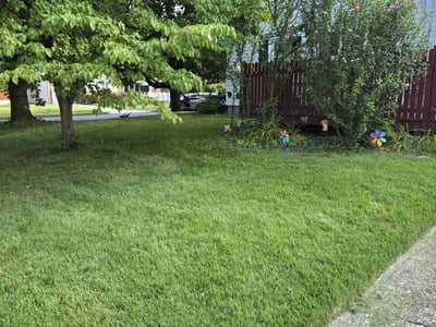 Lawn care service in Mechanicsburg, 17055