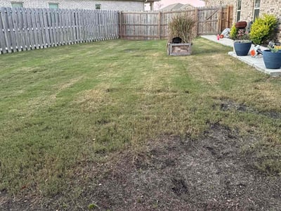 Lawn care service in Madison, 35757