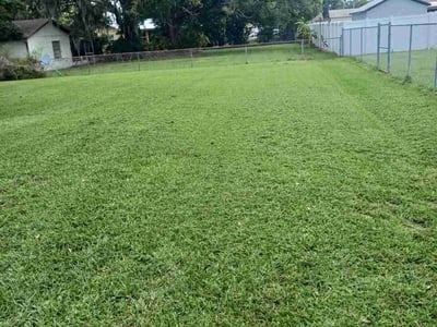 Lawn care service in Lakeland, 33813