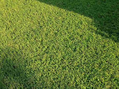 Lawn care service in Grand Prairie, 75052