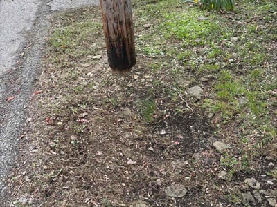 Lawn care service in Pittsburgh, 15235