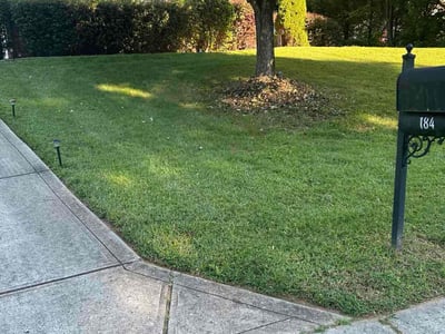 Lawn care service in Mooresville, 28115